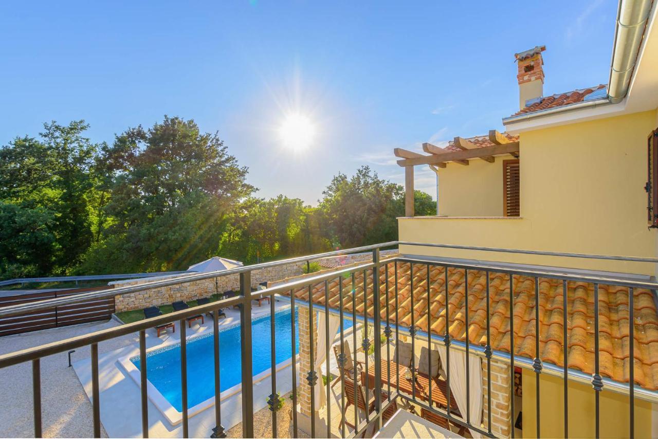 David - Luxurious Secluded With A Heated Pool Villa Butkovici (Istria)